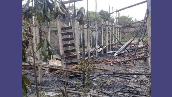 আলীরটেকে অগ্নিকান্ডে পোল্ট্রি ফার্ম পুড়ে ছাই, ক্ষতি ৭ লাখ টাকা