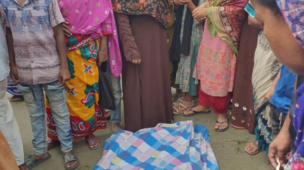 সিটি করপোরেশনের ডোবায় পড়ে ভাই-বোন নিহত