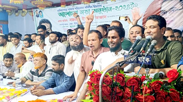 বিএনপি করলে অপরাধমূলক কর্মকাণ্ড করা যাবে না : আজাদ
